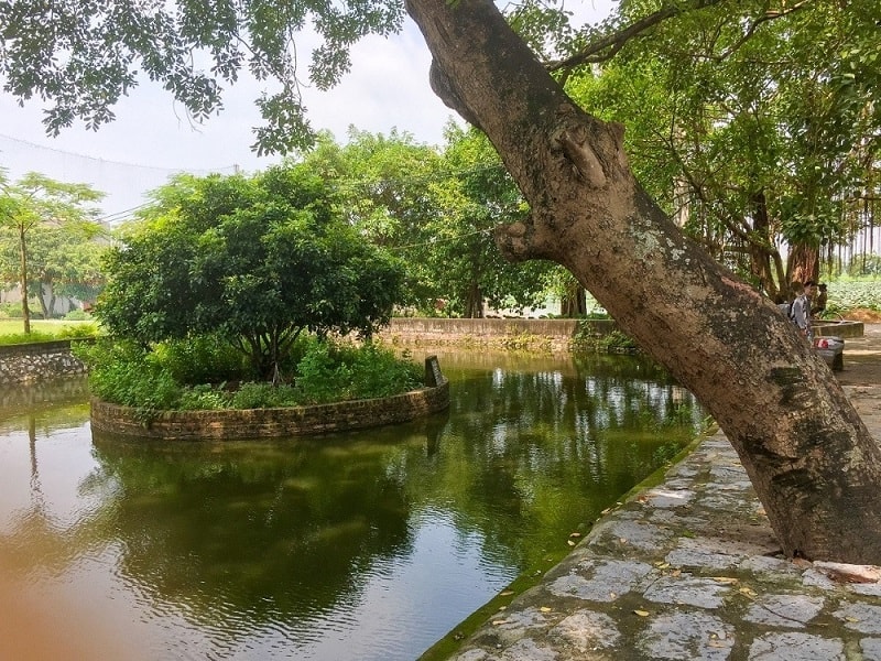 Cảnh quan ao đình làng Cựu. Ảnh: Internet