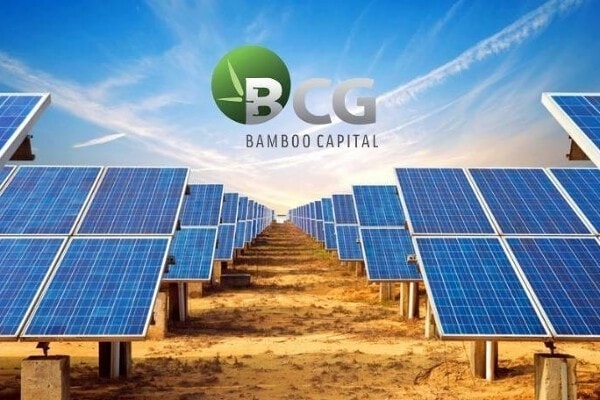 Bamboo Capital (BCG) thay loạt nhân sự cấp cao, nêu lý do chưa hoàn tất báo cáo kiểm toán
