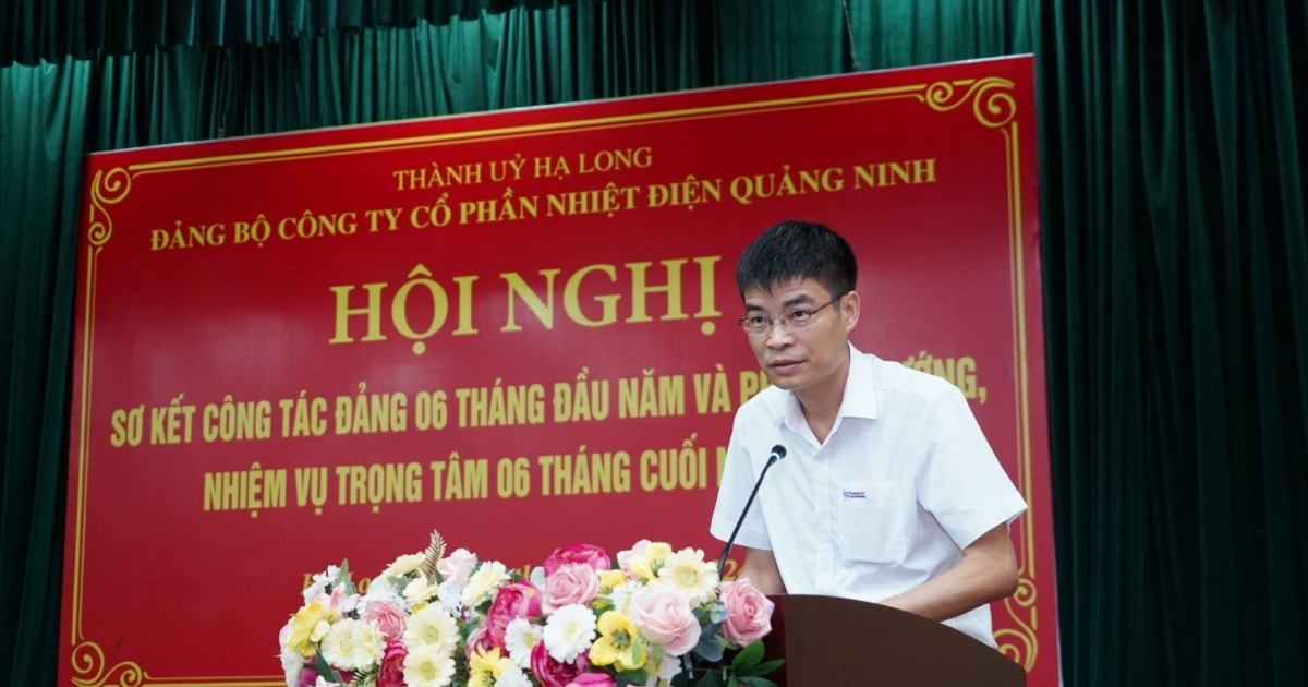 Nhiệt điện Quảng Ninh (QTP) miễn nhiệm Phó Tổng Giám đốc Lê Việt Cường sau biến cố lao lý