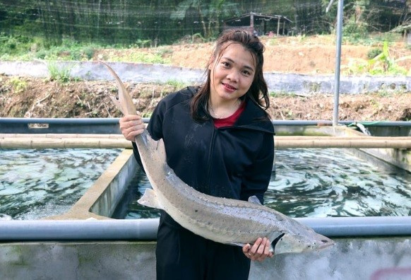 Cô gái Mường Lương Thị Lực nuôi cá tầm phát triển kinh tế tại quê nhà. catm.jpg