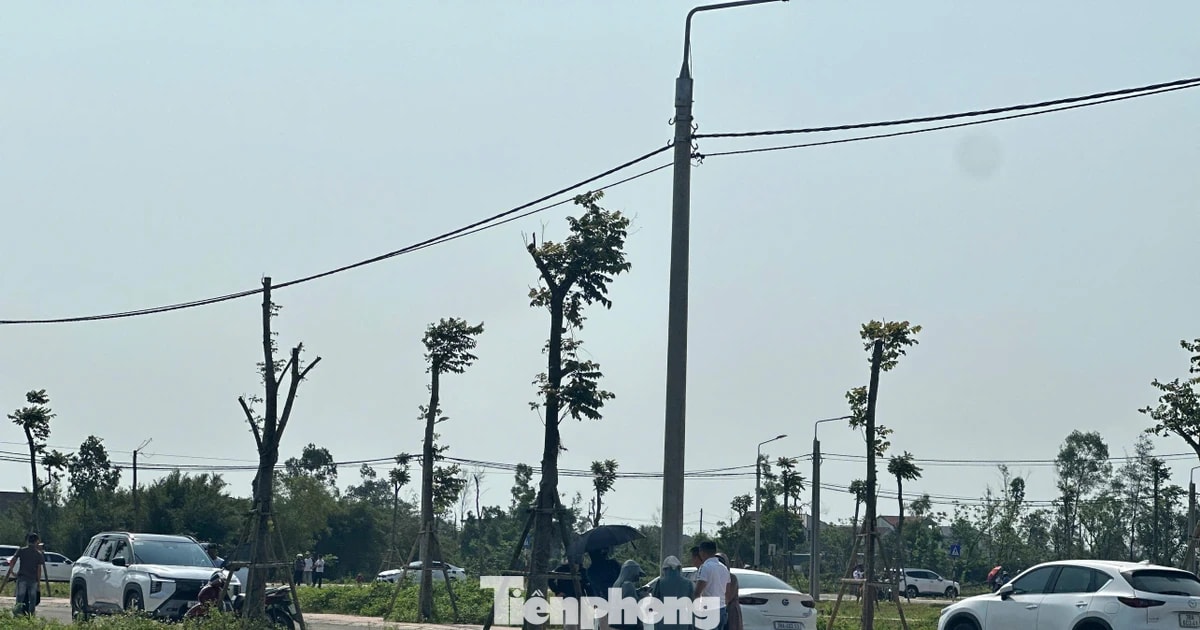 Đất nông thôn vùng quê bất ngờ 'sốt', ô tô đổ về kín đường