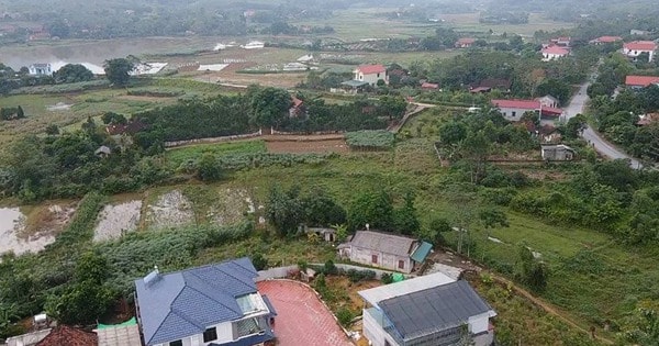 Từ giờ, chuyển đất trồng cây lâu năm sang đất ở bắt buộc phải nộp những khoản tiền nào?