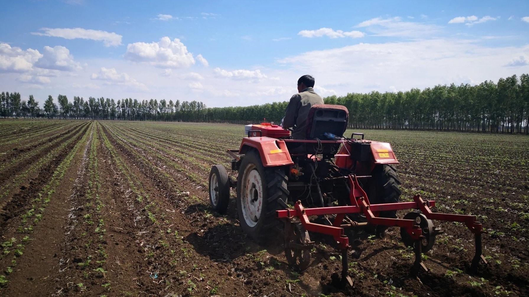 Nông dân Trung Quốc lao đao vì chiến sự Iran