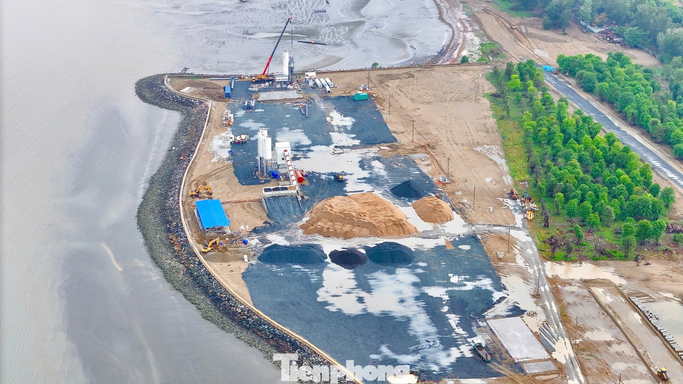 tp-5-8237-6174.jpg