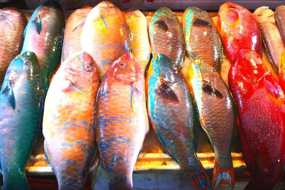 khong-co-tieu-de-120343-1774494616542-1774494616787358589111_1774594301.jpg