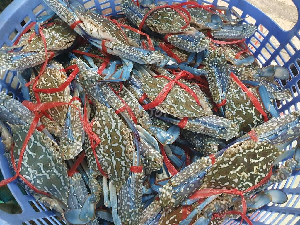 Vé máy bay tăng cao, đây là những điểm đến vừa đẹp vừa tiết kiệm để 'đi trốn' dịp 30/4 - Ảnh 4.