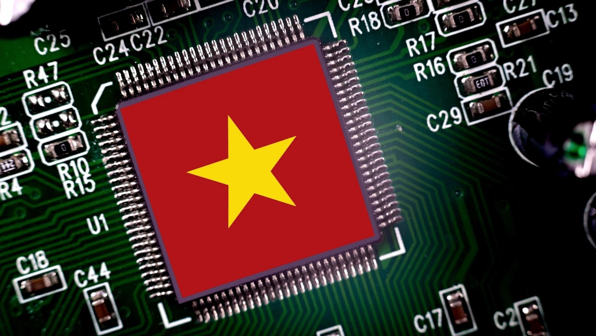 ban-dan-viet-nam-17697457683311480098553.jpg