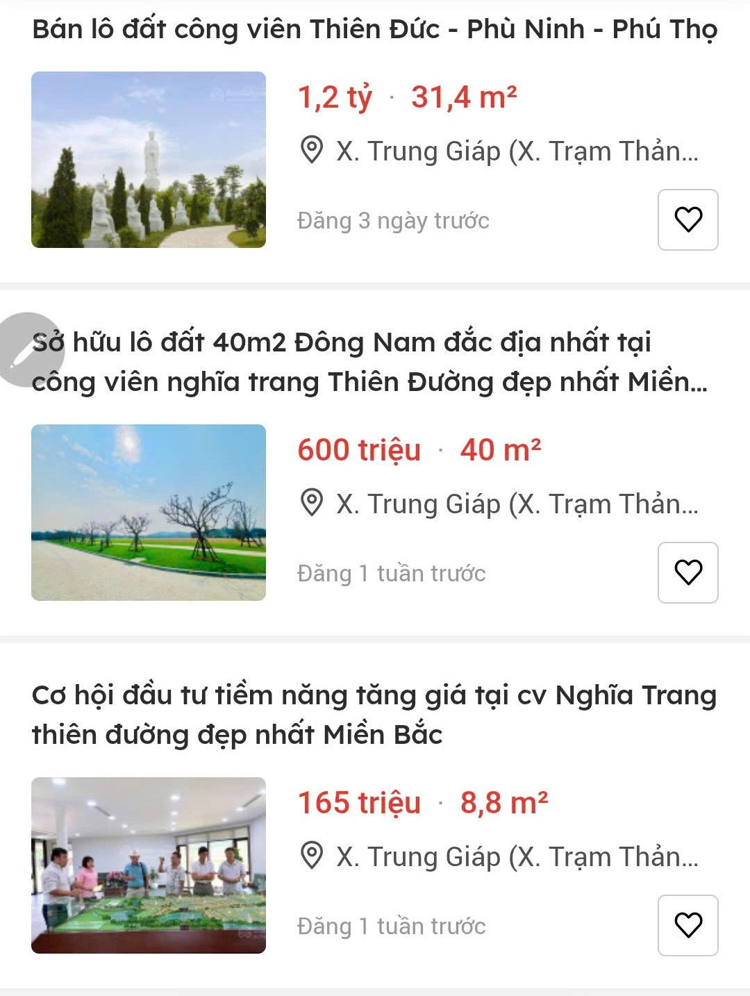 Sôi động thị trường nhà ... 'cõi âm' - Ảnh 1.