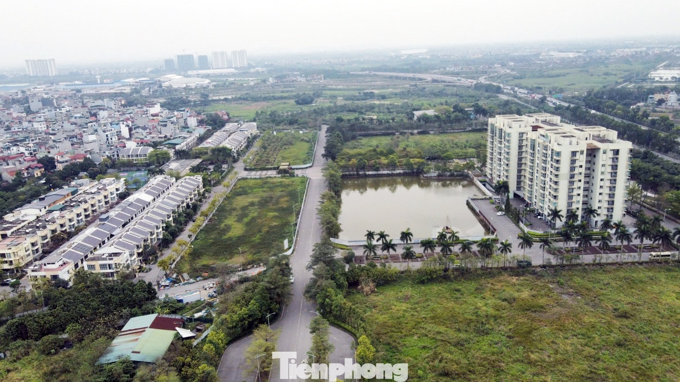 Chủ dự án 88 Central 'lật kèo' sau 6 năm ôm đất: Chuyển đơn đến công an giải quyết - Ảnh 1.
