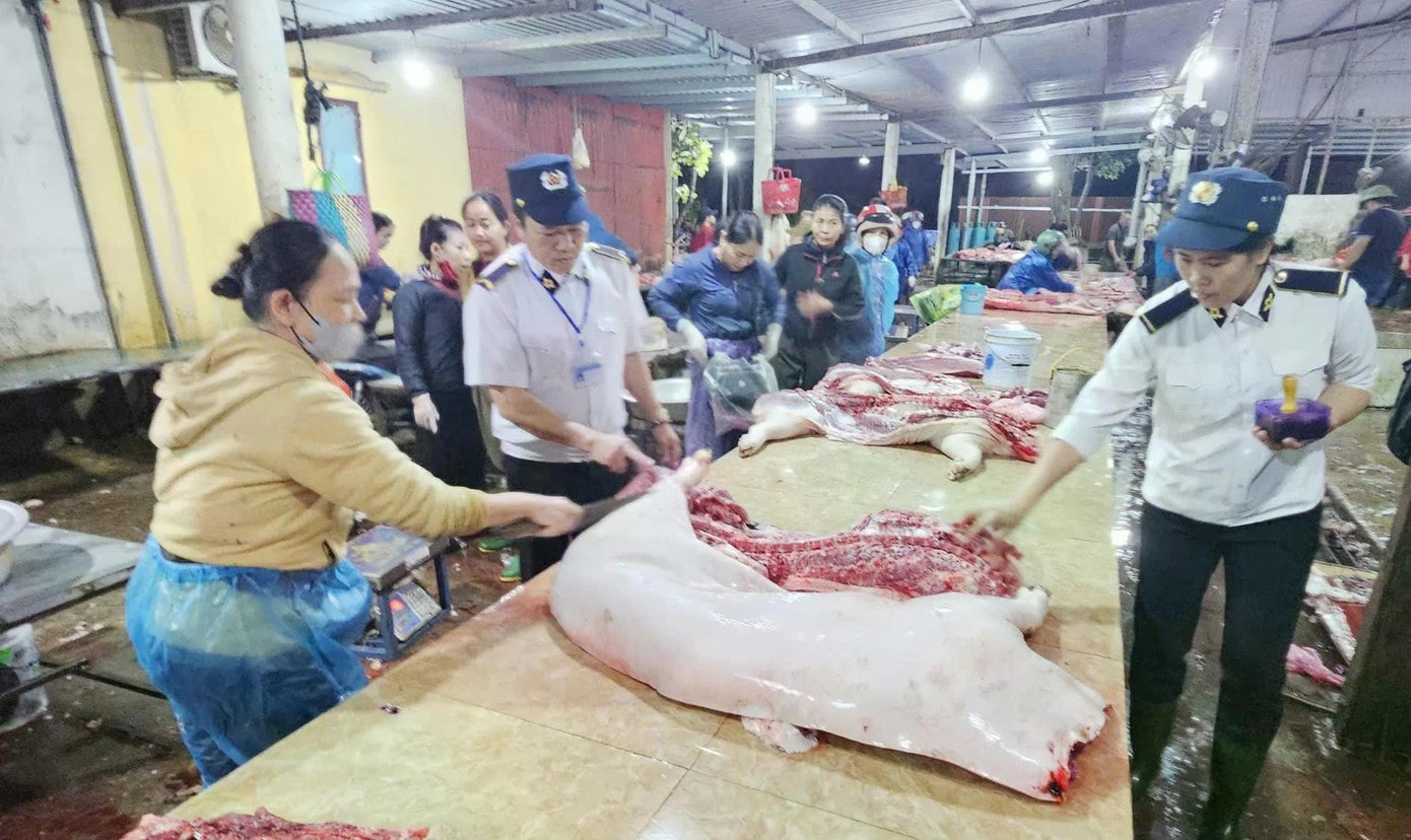 Vụ thịt lợn dịch vào bếp ăn trường học: Trách nhiệm của lực lượng thú y ra sao? - Ảnh 1.