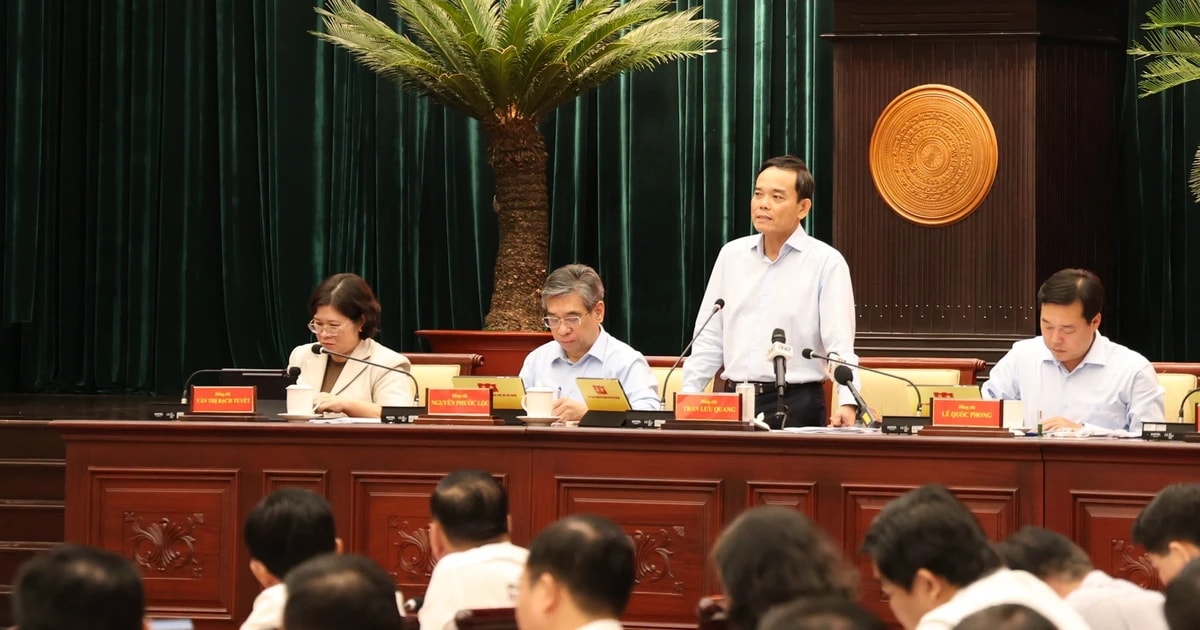 Ông Trần Lưu Quang nói về 'tính toán lại' đội hình cán bộ TPHCM