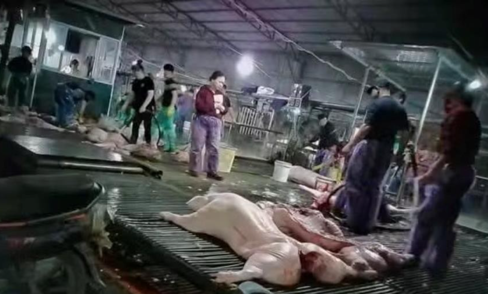 Vụ thịt lợn dịch vào trường học: Thấy gì về thị trường suất ăn tỷ USD tại Việt Nam? - Ảnh 2.