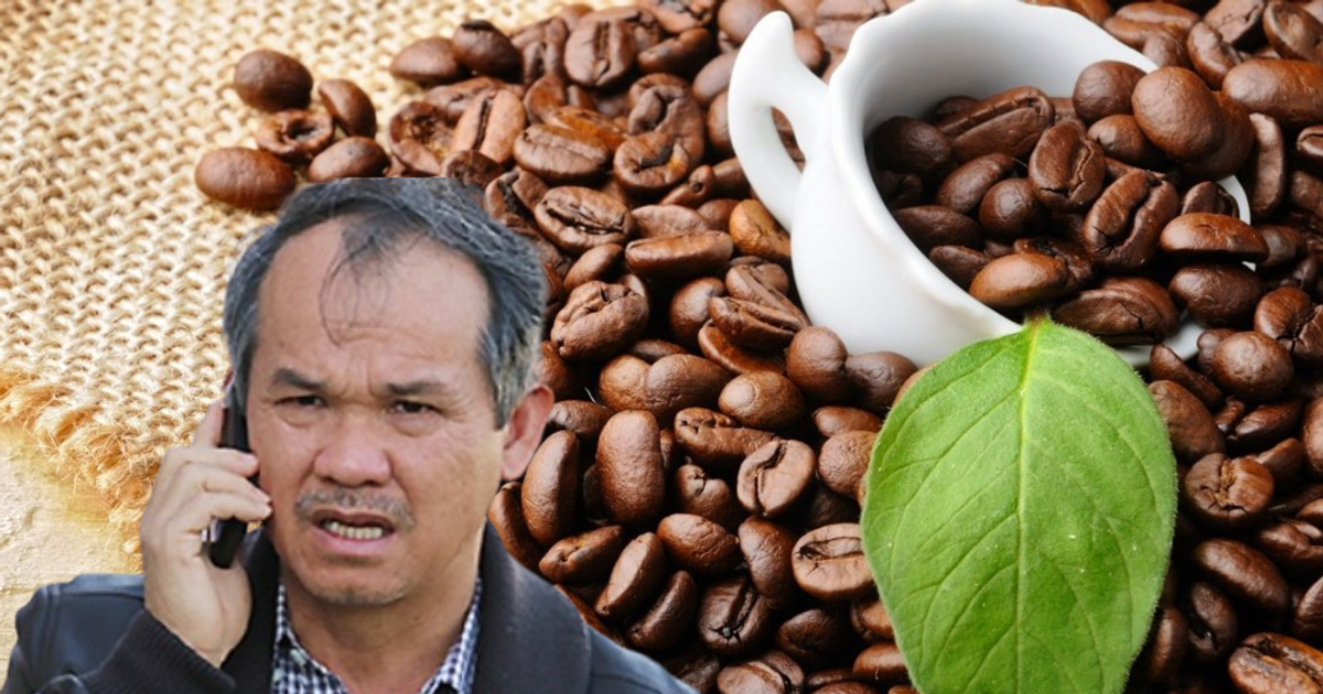 Trồng 20.000ha cà phê giữa lúc mất giá 40%: Bầu Đức nhìn nông dân vẫn giàu, tuyên bố 'HAGL chẳng thể lỗ'