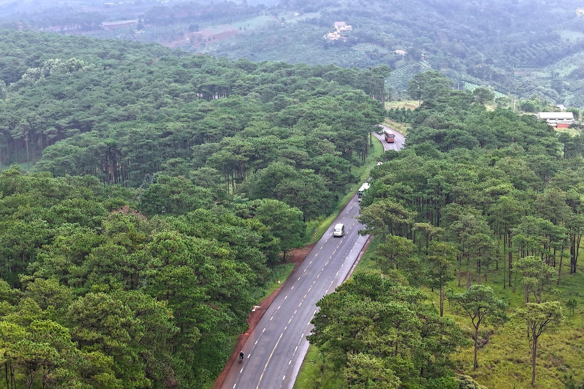 lamdong2_1775098878.jpg