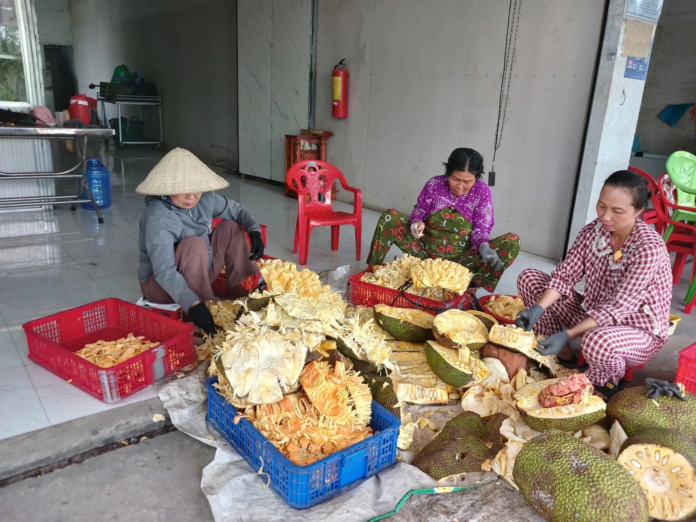 Trở tay không kịp vì giá mít 'lên đỉnh, xuống đáy' - Ảnh 5.