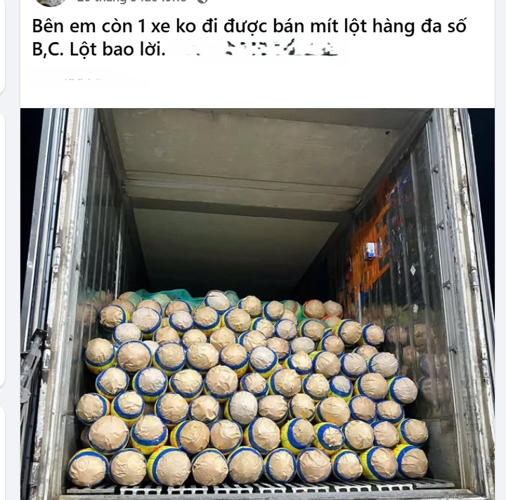 Trở tay không kịp vì giá mít 'lên đỉnh, xuống đáy' - Ảnh 2.