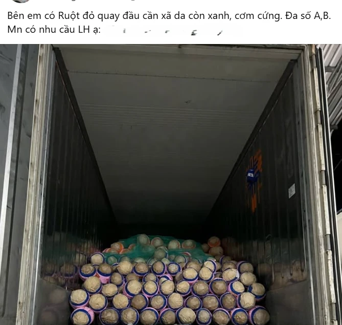 Trở tay không kịp vì giá mít 'lên đỉnh, xuống đáy' - Ảnh 3.