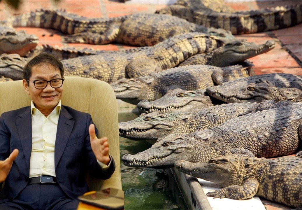 Ông Trần Bá Dương: THACO có kế hoạch nuôi cá sấu, cá nước ngọt, tổ yến... để xuất khẩu