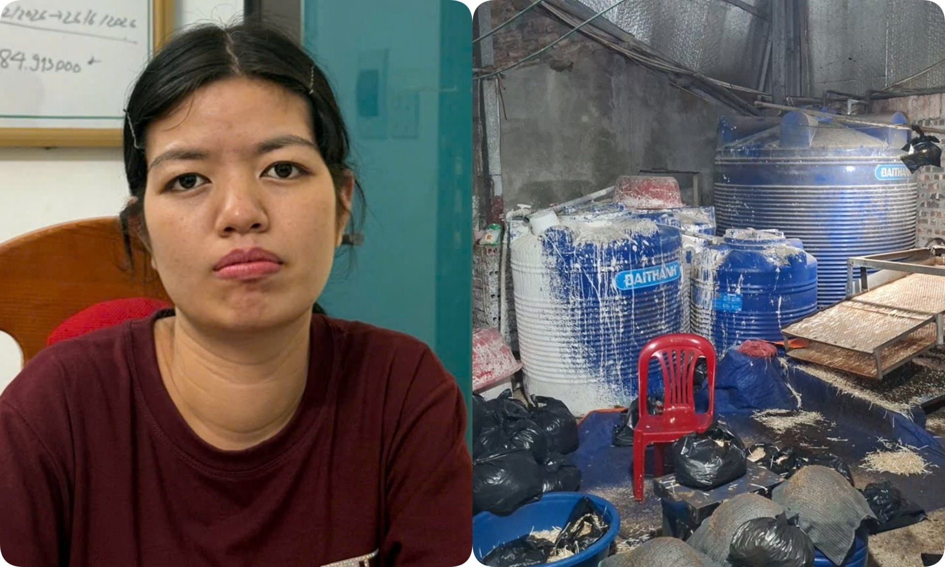 Khởi tố Chu Thị Hòa tuồn 510 tấn giá đỗ 'ngậm' chất cấm ra thị trường