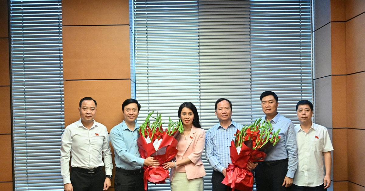 Chủ tịch MTTQ tỉnh Lạng Sơn làm Trưởng đoàn ĐBQH tỉnh Lạng Sơn