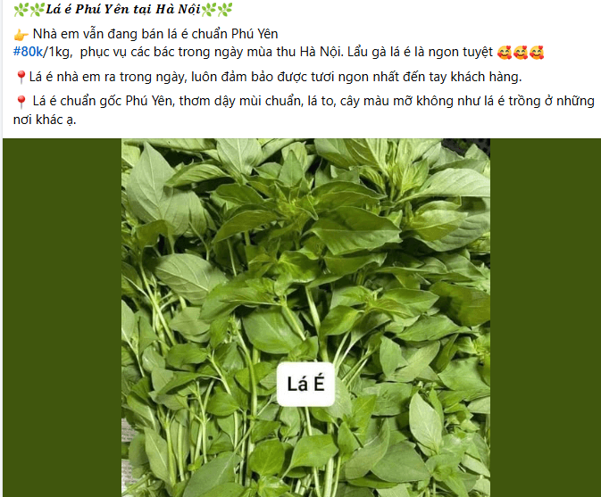 la-e.png