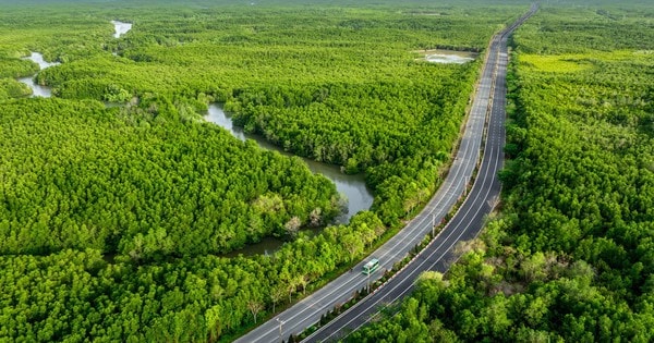Vingroup đề xuất chi 19.000 tỷ lên đời tuyến độc đạo xuyên rừng ngập mặn kết nối siêu đô thị lấn biển với trung tâm TP giàu nhất nước