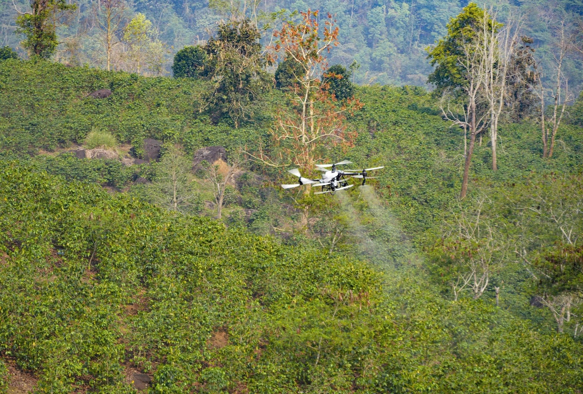 UAV do FPT và Trường Thịnh Drone đang thử nghiệm phun thuốc tại hồ Ảng Cang, bản Mánh Đanh, xã Mường Ảnh, tỉnh Điện Biên