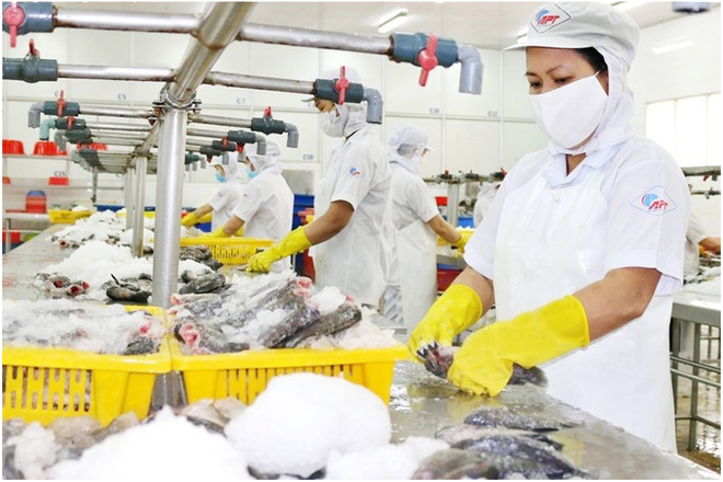 Ngậm đắng vì vay vàng, một công ty làm nai lưng 17 năm vẫn 'bất lực' trước 5.833 lượng SJC nợ tại Sacombank - Ảnh 1.