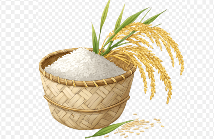 Quốc gia nằm trên vành đai núi lửa, là 'khách sộp' của Việt Nam, bất ngờ khởi xướng điều tra biện pháp tự vệ toàn cầu với gạo nhập khẩu