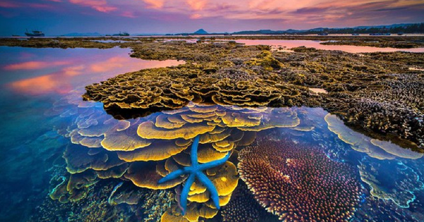 Việt Nam sắp có thêm một công viên địa chất toàn cầu được UNESCO công nhận