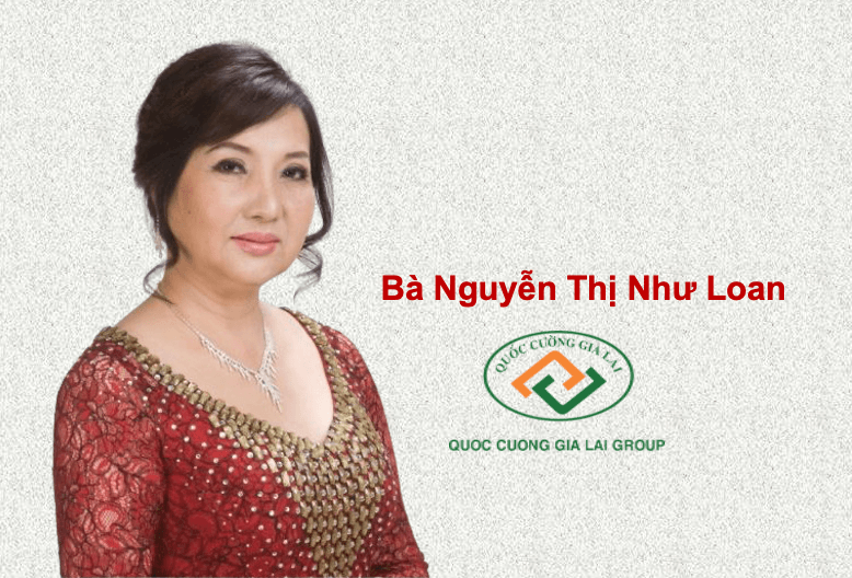 Phải vay Quốc Cường Gia Lai (QCG) 11 tỷ đồng, khối tài sản của bà Nguyễn Thị Như Loan còn lại bao nhiêu? - Ảnh 3.
