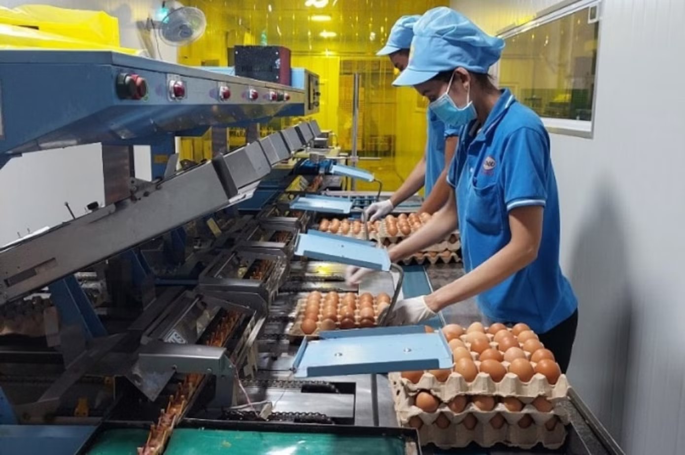 Chi phí 'neo' cao, doanh nghiệp căng mình giữ giá - Ảnh 1.