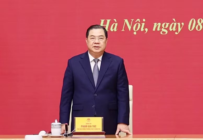 Phân công công tác của Thủ tướng và các Phó Thủ tướng - Ảnh 2.