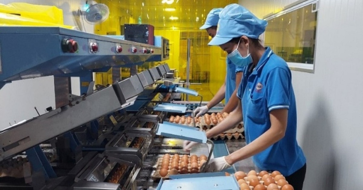 Chi phí 'neo' cao, doanh nghiệp căng mình giữ giá