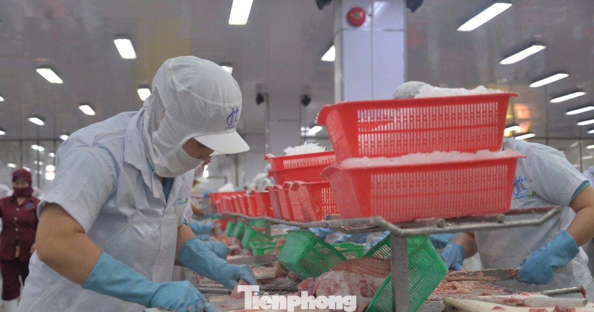 Cả vùng Đồng bằng sông Cửu Long chỉ có 24 tỷ USD vốn FDI