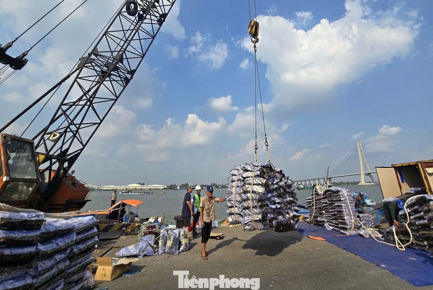 Doanh nghiệp đối mặt loạt thách thức 'sống còn' - Ảnh 1.