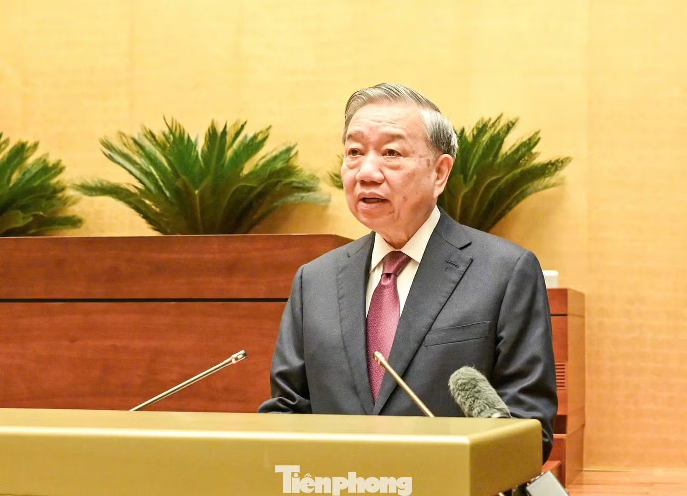 Tổng Bí thư, Chủ tịch nước Tô Lâm: Chấm dứt tình trạng đầu tư theo phong trào - Ảnh 1.