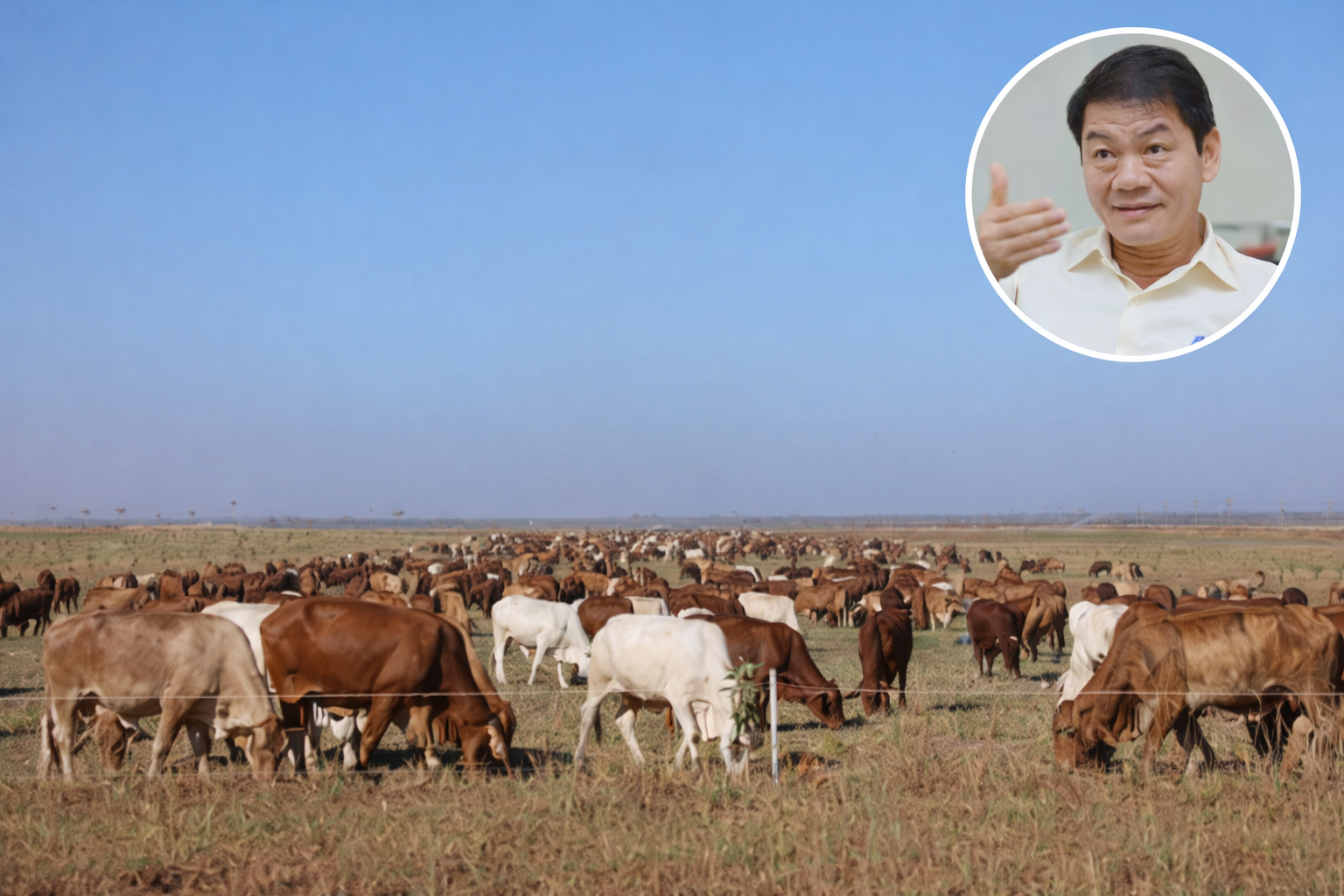 Thaco của ông Trần Bá Dương báo lợi nhuận 2025 tăng bằng lần