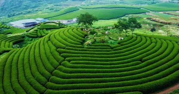 Việt Nam sắp có thêm khu du lịch quốc gia, quy mô hơn 200.000ha trải dài 12 xã phường tại tỉnh rộng nhất miền Bắc