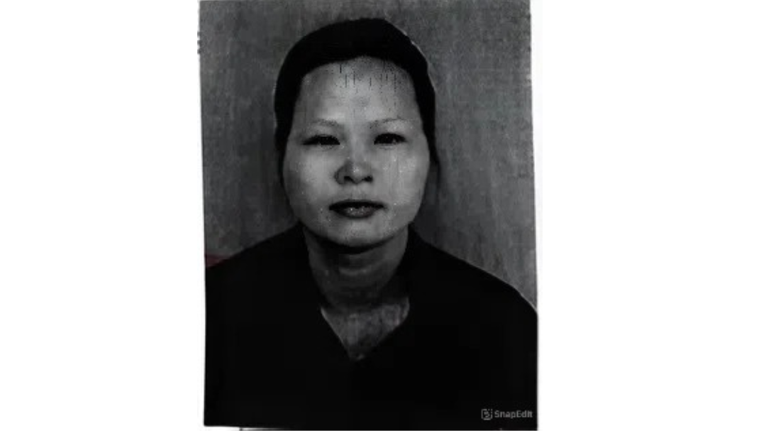 Ảnh minh họa (78)