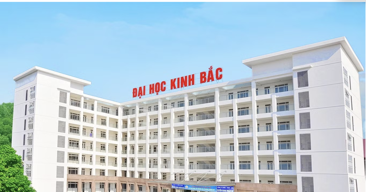 Bắt Phó Chủ tịch Hội đồng Trường Đại học Kinh Bắc Nguyễn Thị Tuyết Hồng