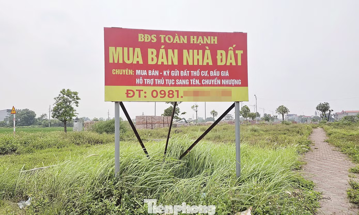 Đất đấu giá vùng ven Hà Nội từng gây 'sốt' trở thành nơi bỏ hoang, không bóng người! - Ảnh 6.