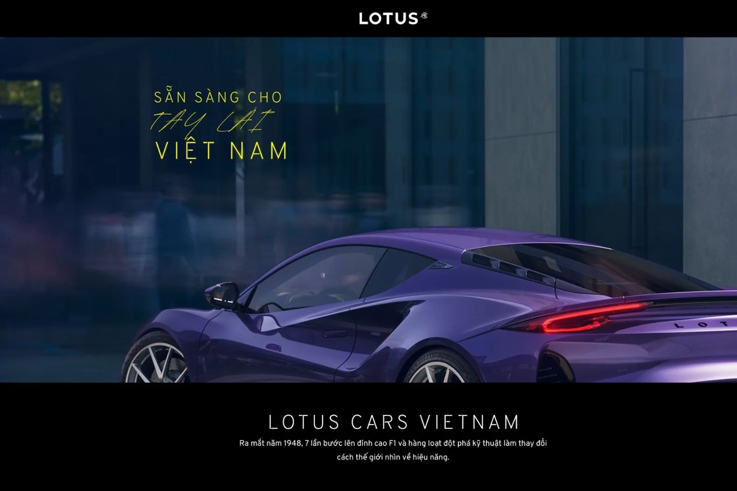 lotus-viet-nam.jpg