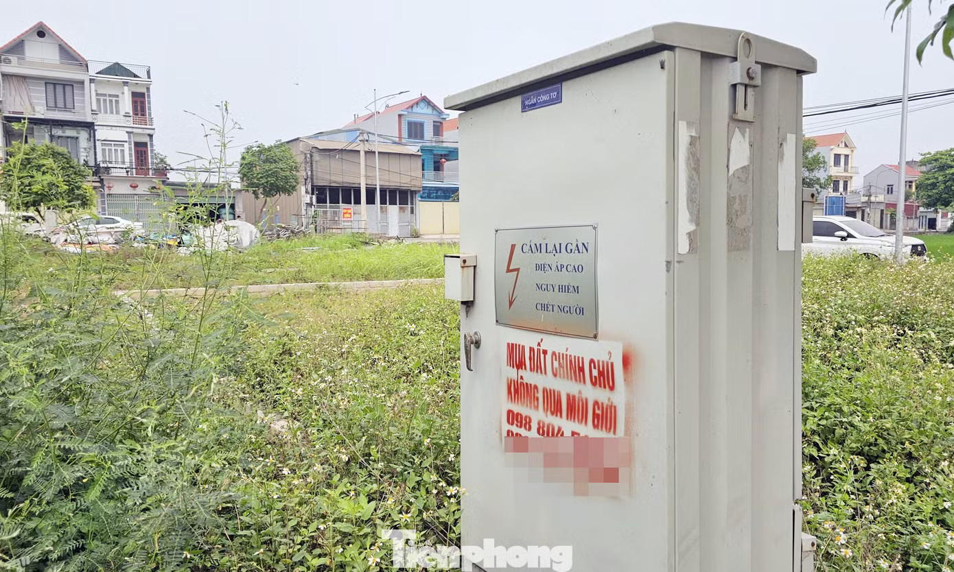 Đất đấu giá vùng ven Hà Nội từng gây 'sốt' trở thành nơi bỏ hoang, không bóng người! - Ảnh 7.