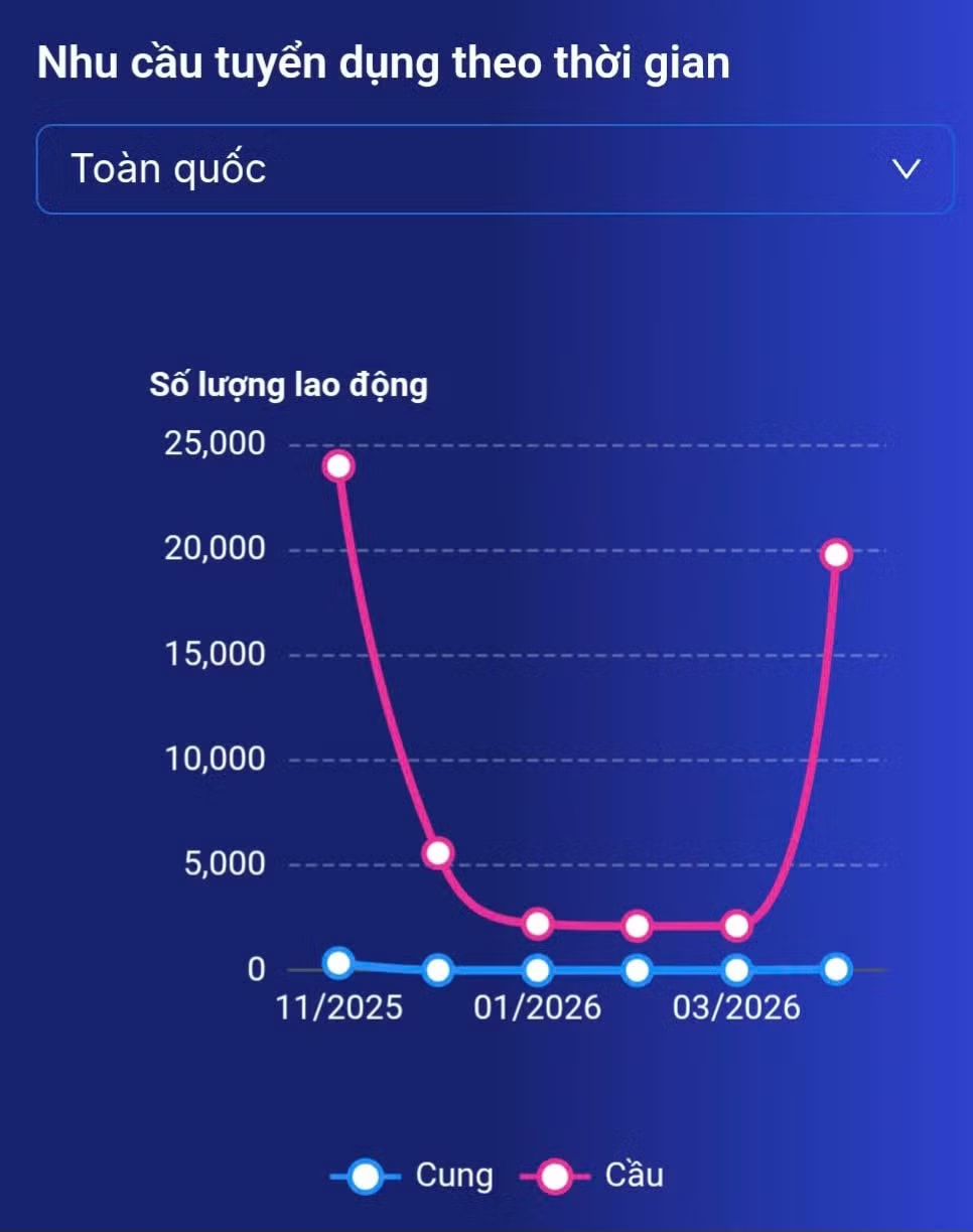 Sàn giao dịch việc làm: Hiển thị hạn chế, nhiều người chưa biết - Ảnh 2.