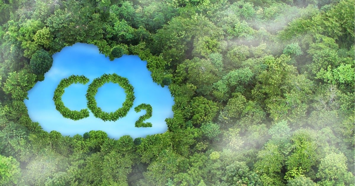 1 - thị trường carbon