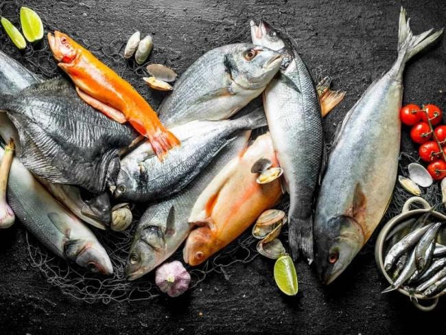 diem-danh-5-loai-ca-giau-omega-3-tot-cho-su-phat-trien-tri-nao-cua-tre-1705116908430540440951_1776495388.jpg