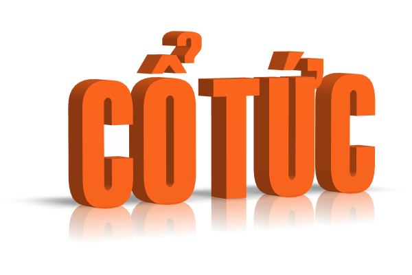 Một doanh nghiệp vận tải biển dành hết tích lũy chia cổ tức tỷ lệ 90%