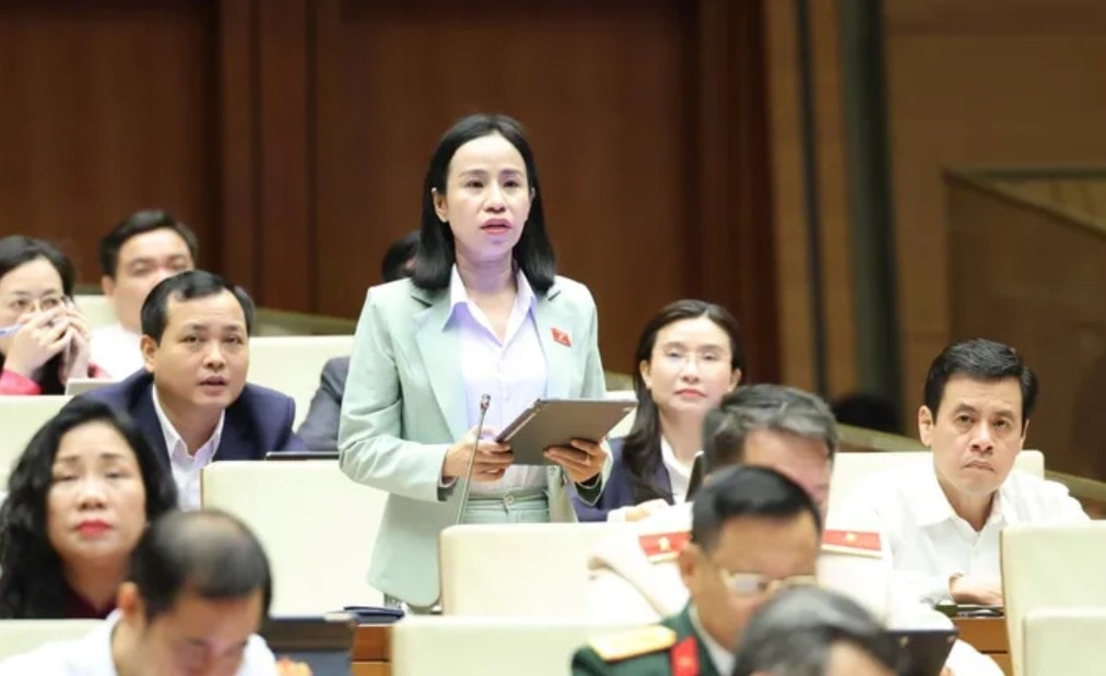 Đại biểu Quốc hội vừa có kiến nghị về thuế TTĐB đối với xe điện