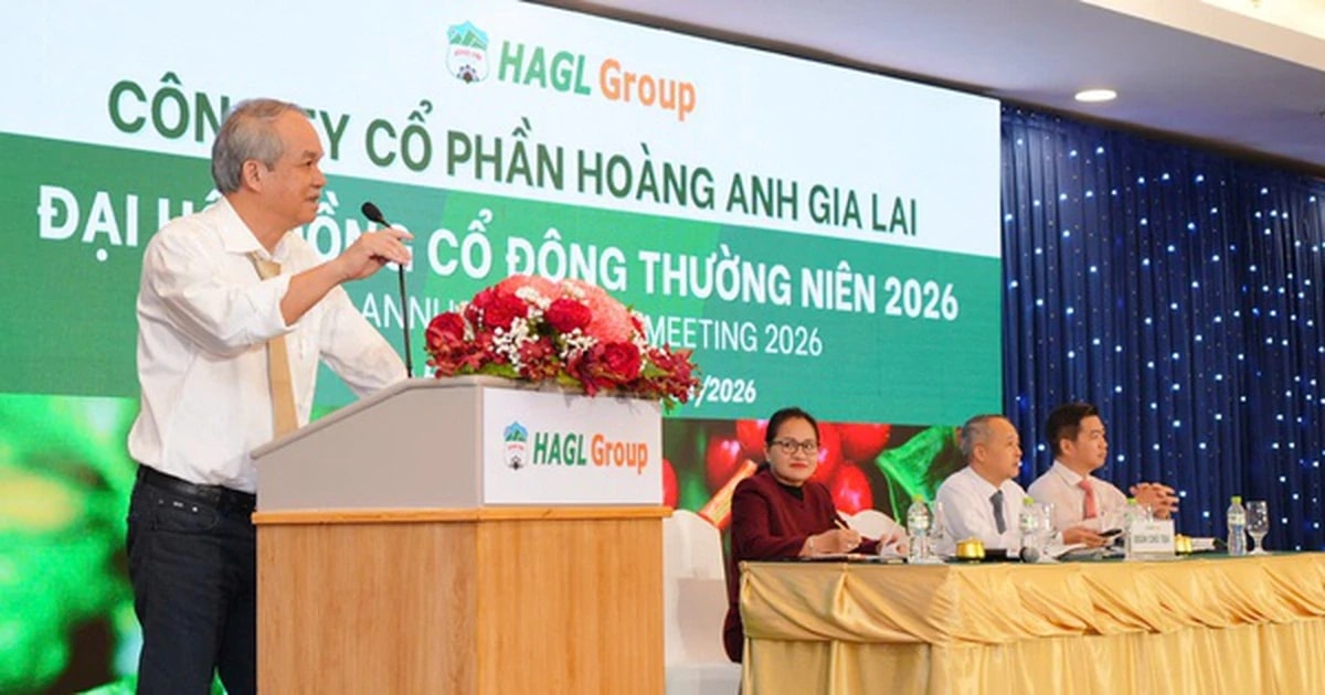 Loạt lãnh đạo Vinamilk, Hòa Phát, PAN Group 'né' khuyến nghị cổ phiếu, riêng bầu Đức lại kêu gọi xuống tiền - Ảnh 4.